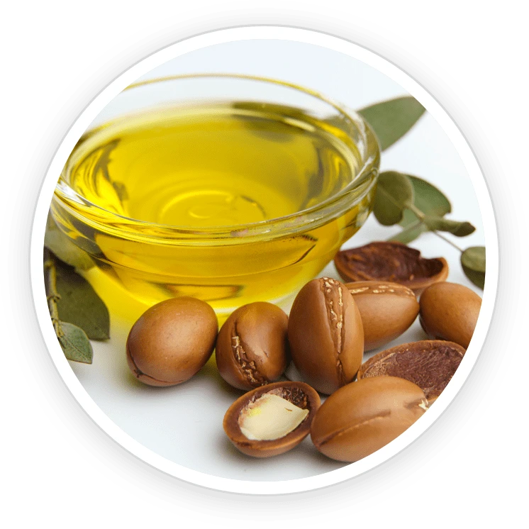 Illustration accompanying Argan Oil